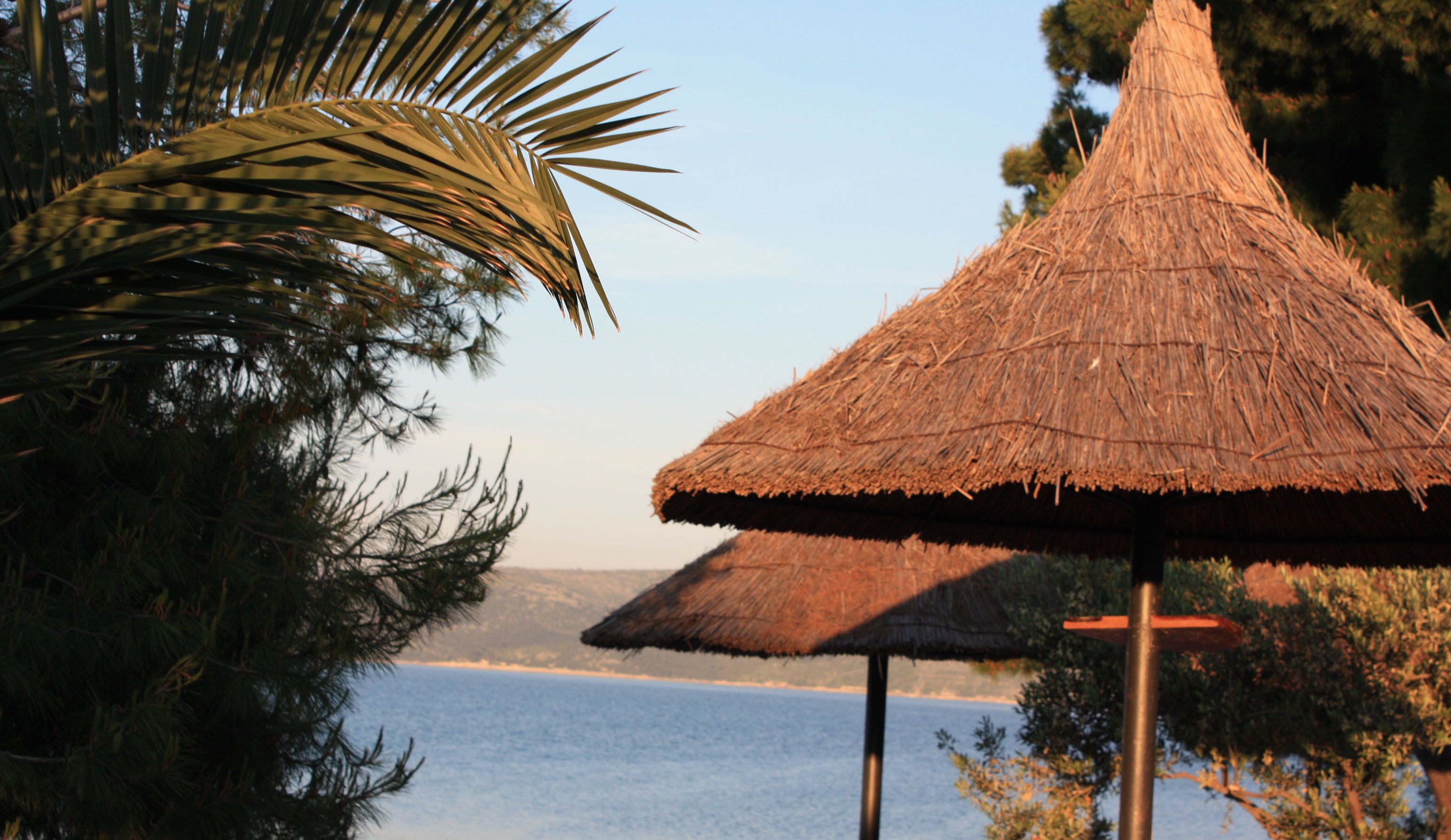 Триптих «Оливковий острів»