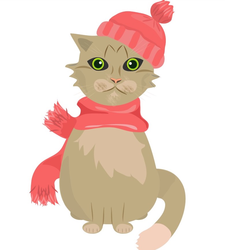 This image has an empty alt attribute; its file name is kit-2.jpg